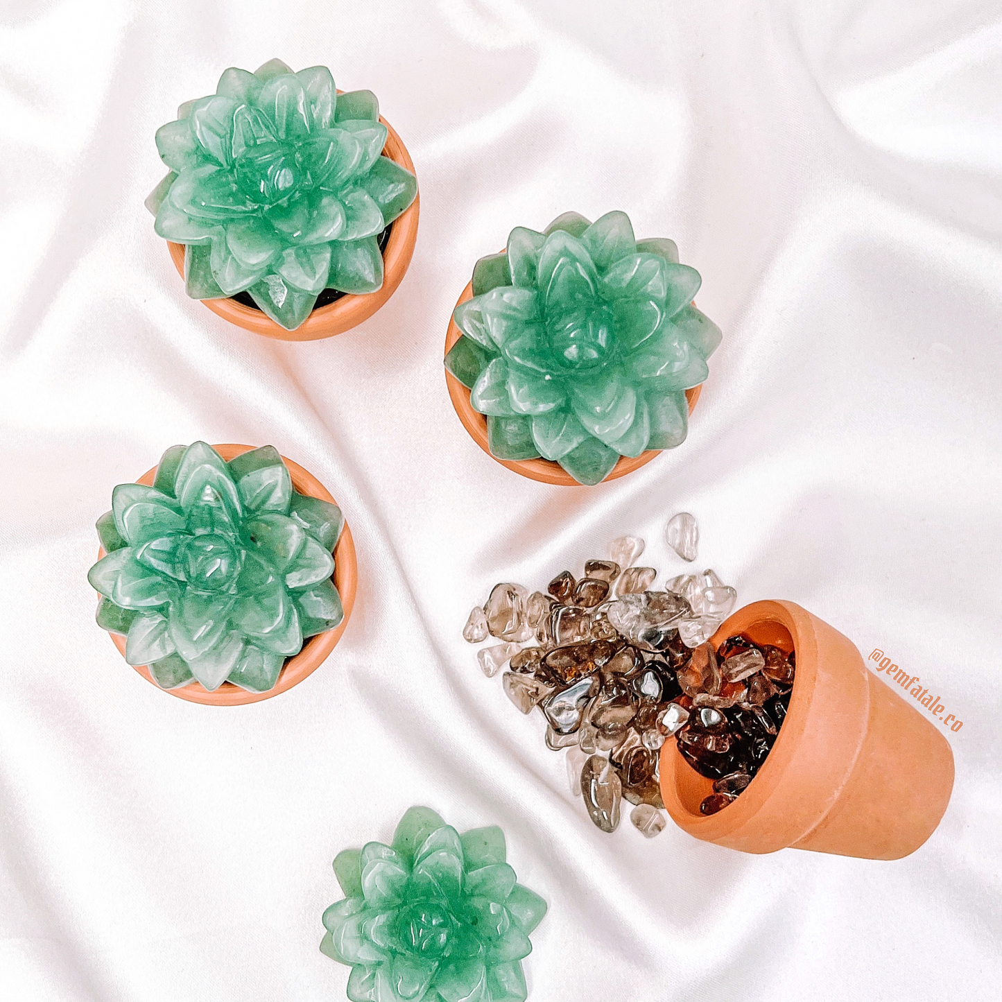 Potted Green Aventurine Succulent