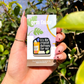 Crystal Therapy Acrylic Pin